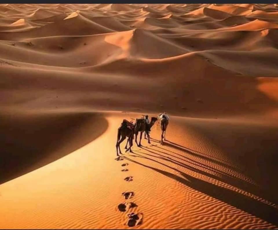 Camp Desert Bivouac Chegaga El Gouera エクステリア 写真