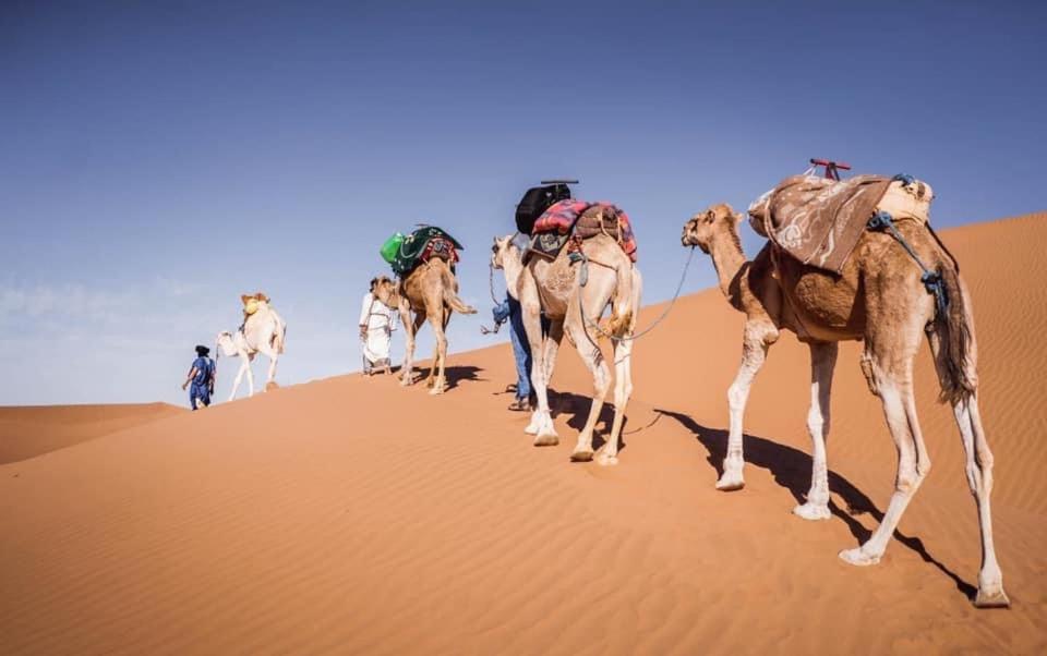 Camp Desert Bivouac Chegaga El Gouera エクステリア 写真
