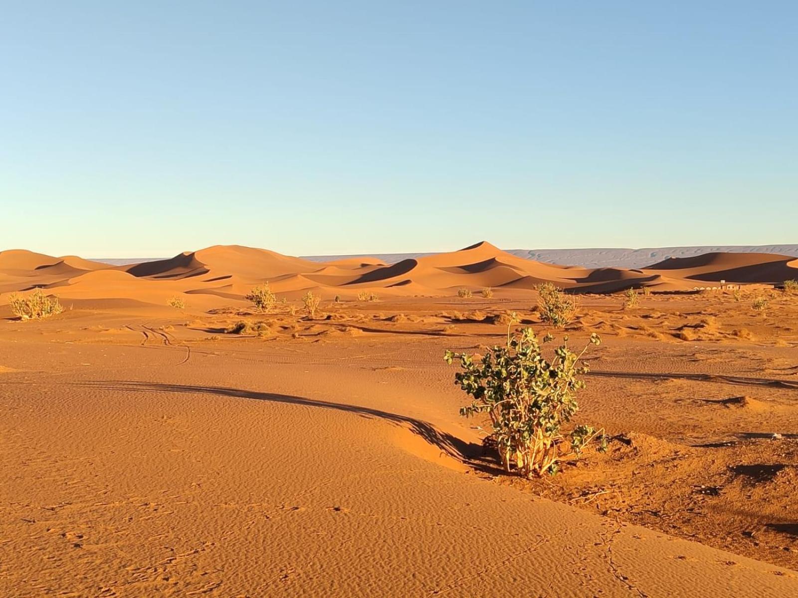 Camp Desert Bivouac Chegaga El Gouera エクステリア 写真