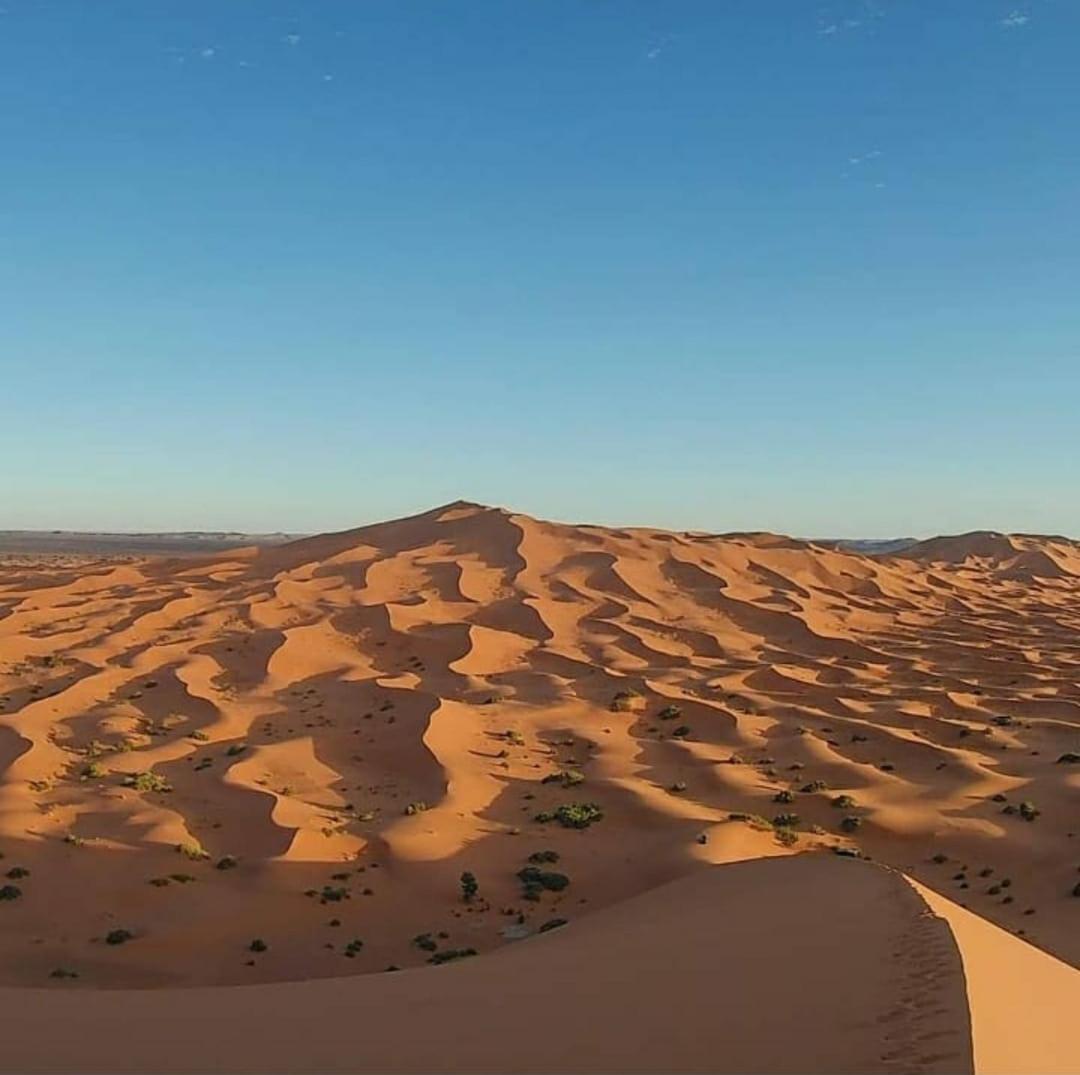 Camp Desert Bivouac Chegaga El Gouera エクステリア 写真