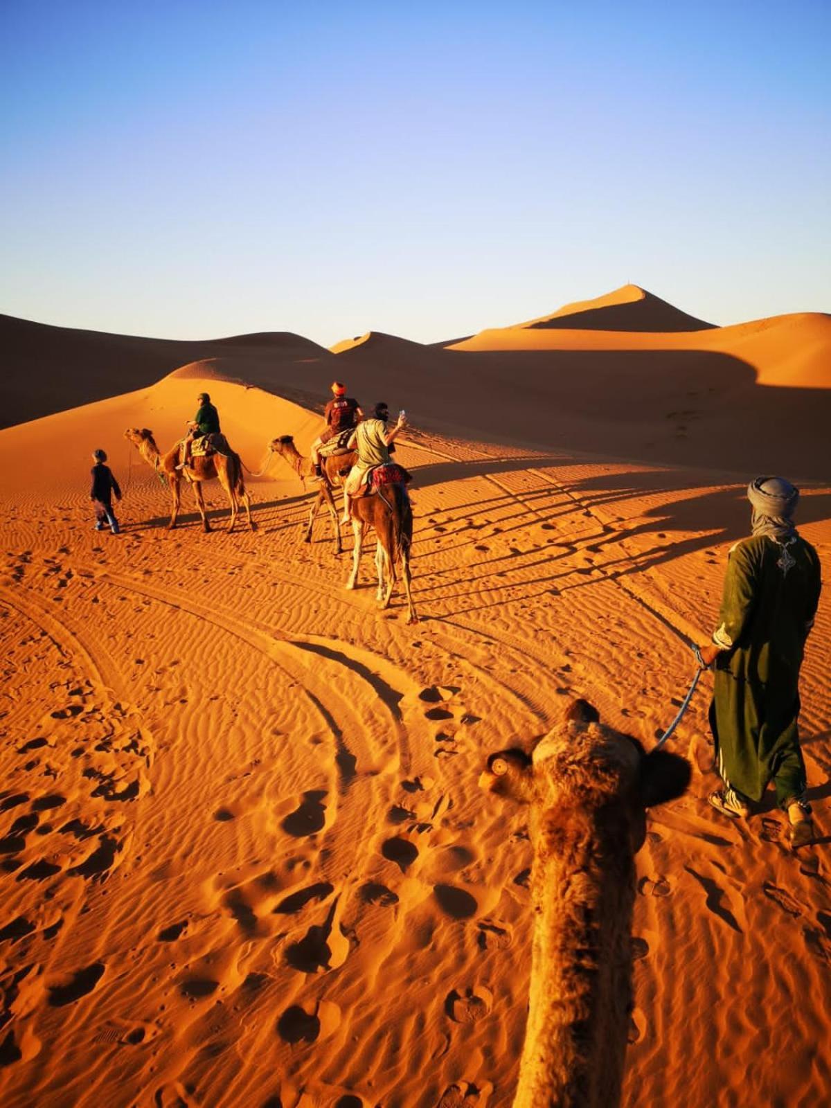 Camp Desert Bivouac Chegaga El Gouera エクステリア 写真