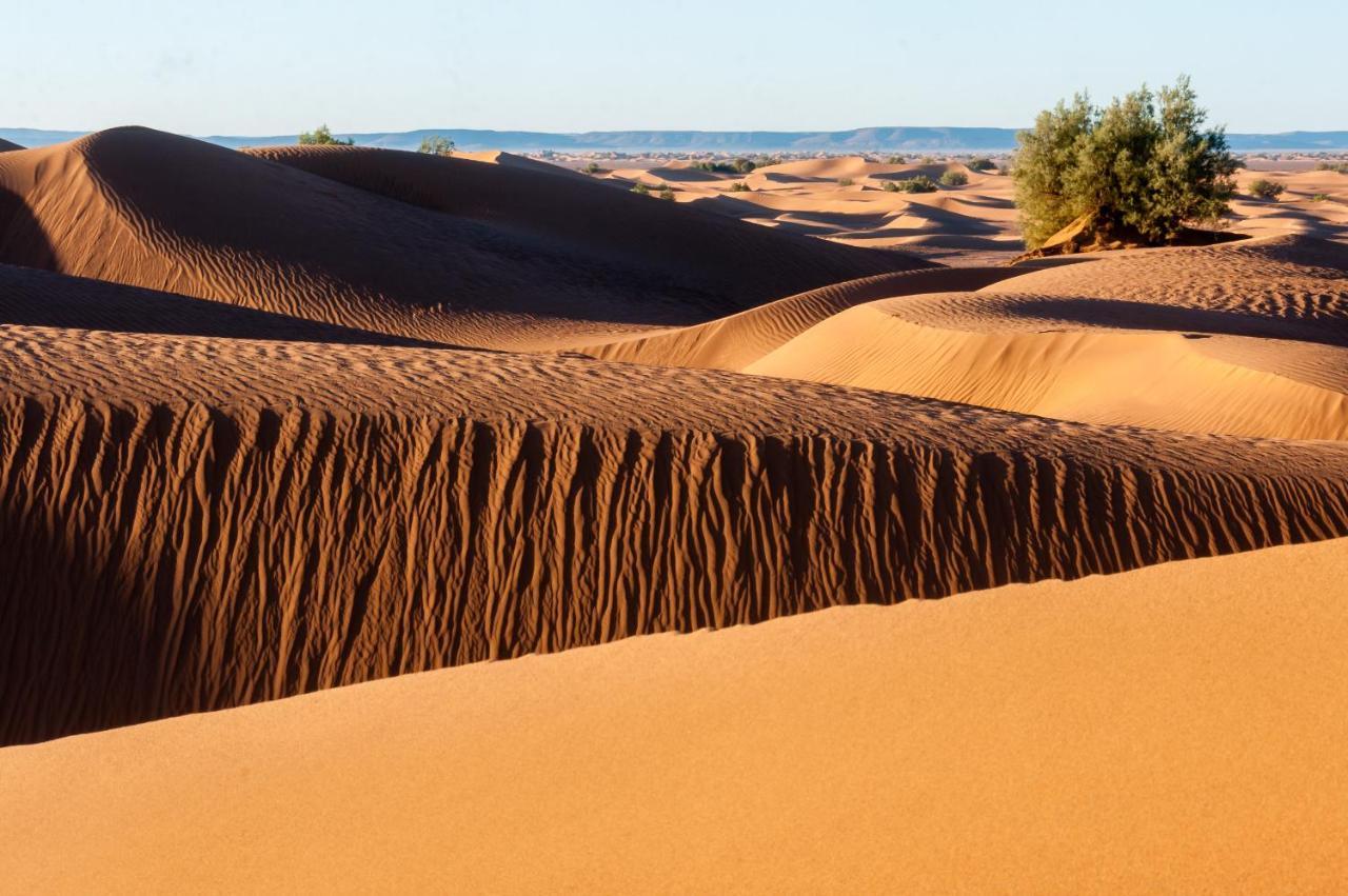 Camp Desert Bivouac Chegaga El Gouera エクステリア 写真
